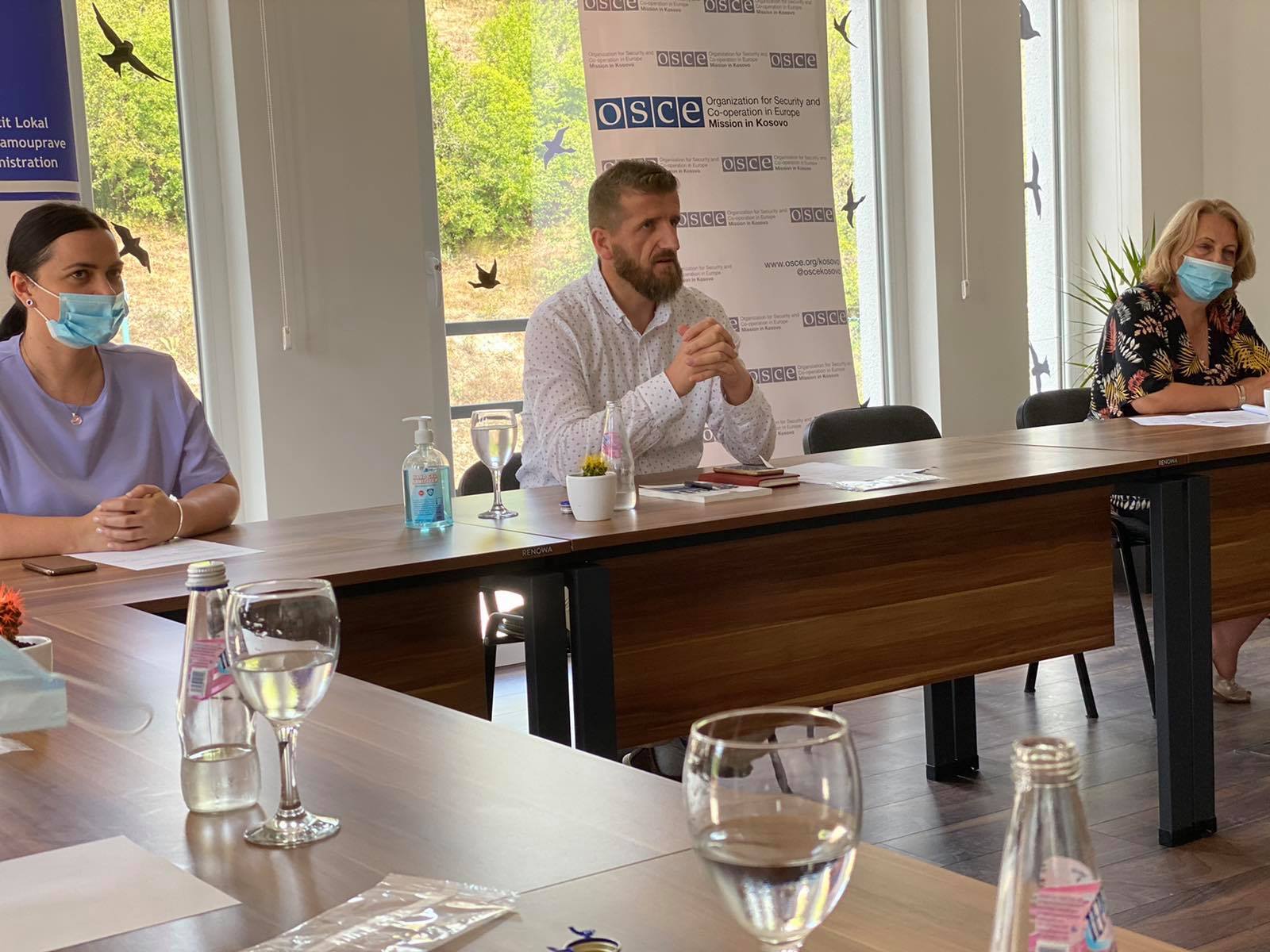 Meeting of the Working Group for amending-supplementing the Administrative Instruction No. 2010/03 on the procedure for termination of the mandate of the mayor of municipality