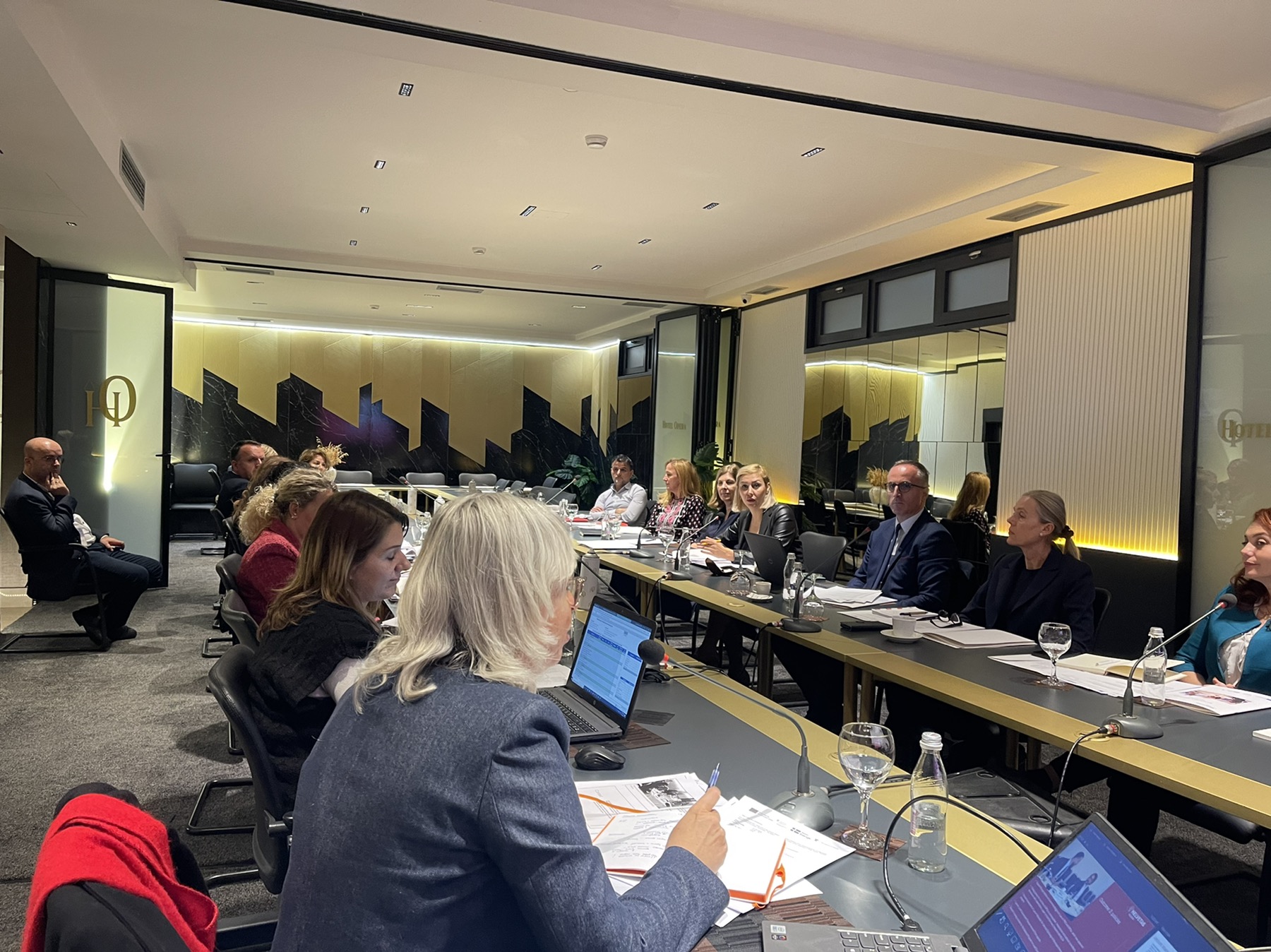 Second meeting of the Steering Commission: MLGA and Donors/Demos