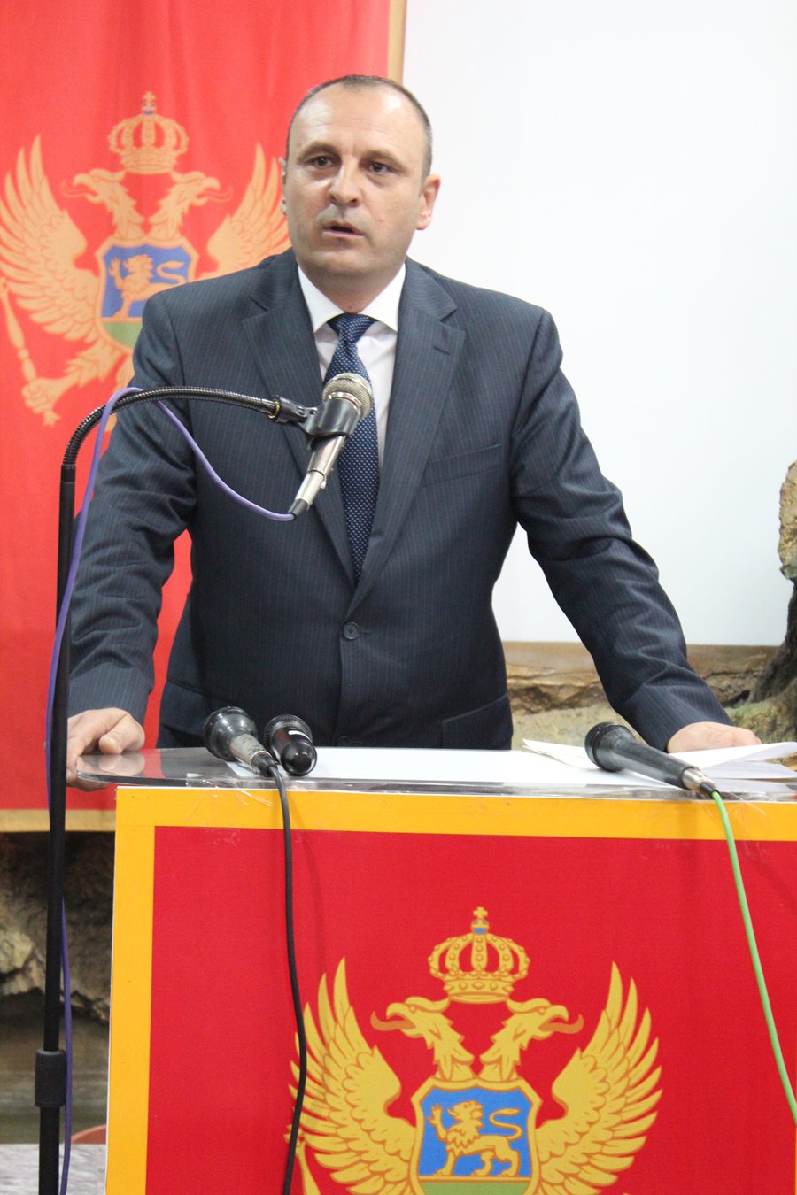 Zamenik prermijera Petrović čestitao crnogorskoj zajednici dan nezavisnosti Crne Gore