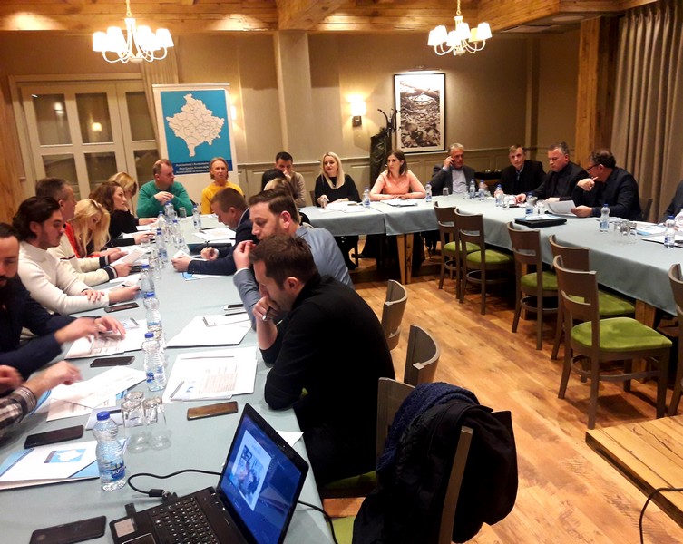 MLGA participates in the meeting with the Collegium of Officials for European Integration
