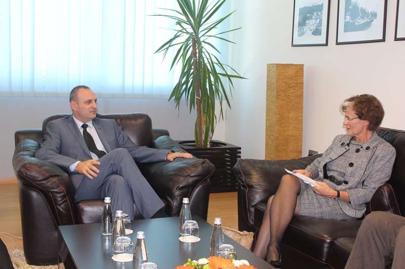 Zamenik premijera Slobodan Petrović sastao se sa visokim komesarom   OSBE-a za manjine Ambasadorkom   Astrid Thors.