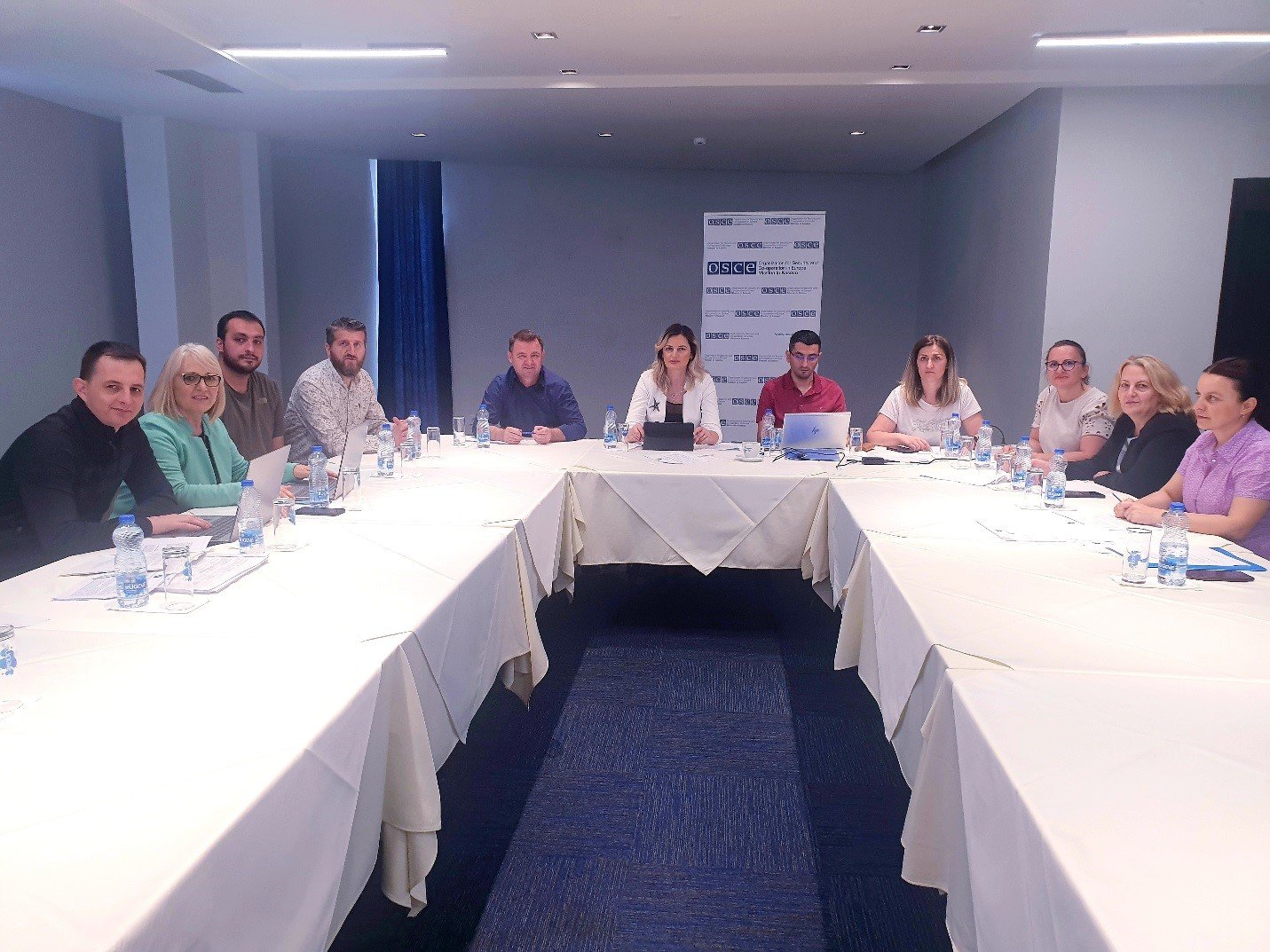 Workshop for amending and supplementing the Administrative Instruction for defining the procedures for the implementation of the law on the use of languages