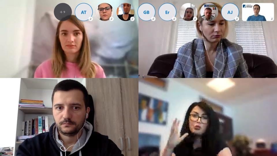 Zamenica ministarke Emini učestvovala je na virtualnom sastanku povodom obeležavanja devetog maja, Dana Evrope