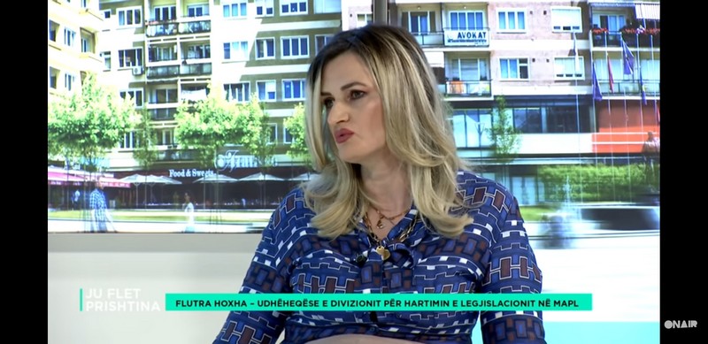 Functioning of Local Councils in the Municipality of Prishtina