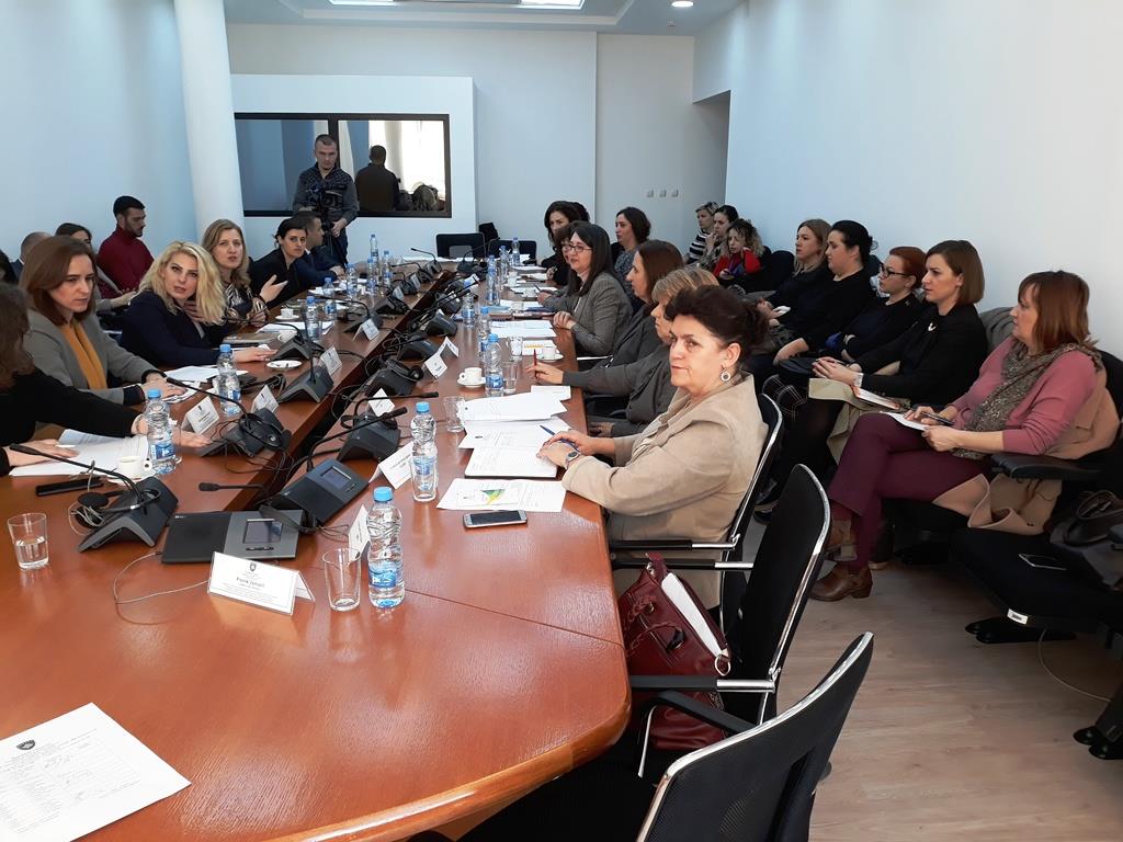 Representatives of the MLGA, participating in the public hearing of the Parliamentary Committee on Human Rights, Gender Equality, Missing Persons and Petitions of the Assembly of the Republic of Kosovo