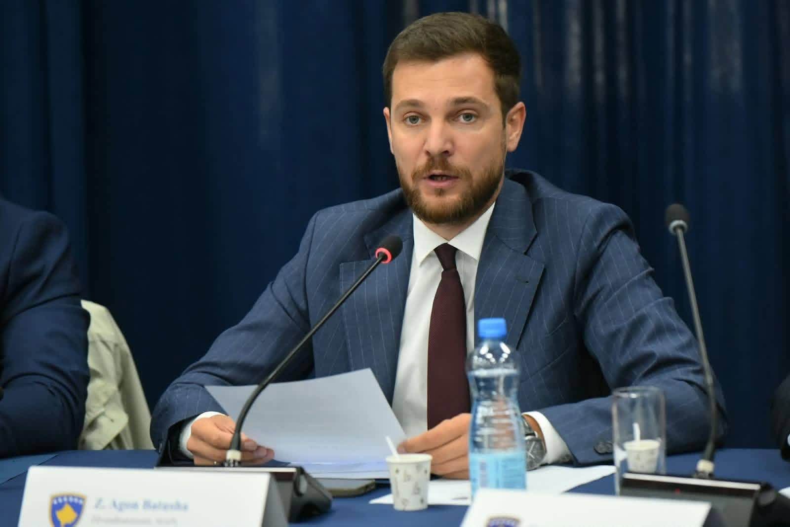 Batusha dhe Qela në Këshillin e Ministrave për Reformën e Administratës Publike